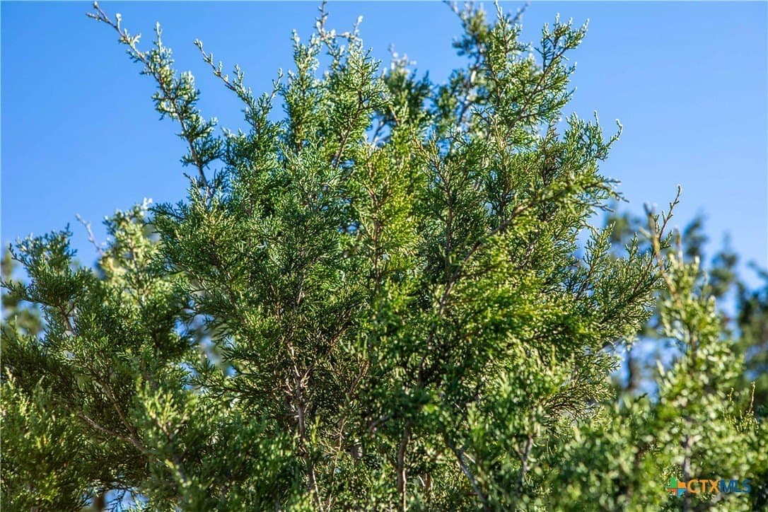 11.18 acres in Kendall County - photo 4