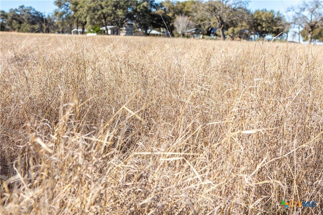 11.18 acres in Kendall County - photo 3