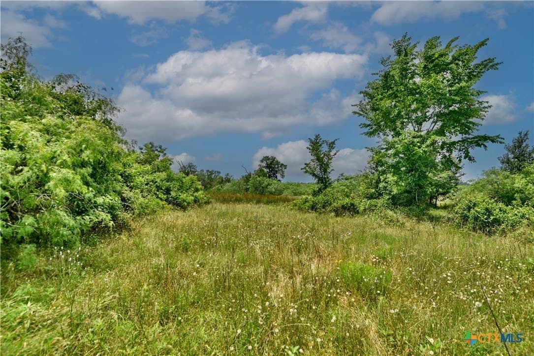 134.51 acres in Fayette County - photo 3