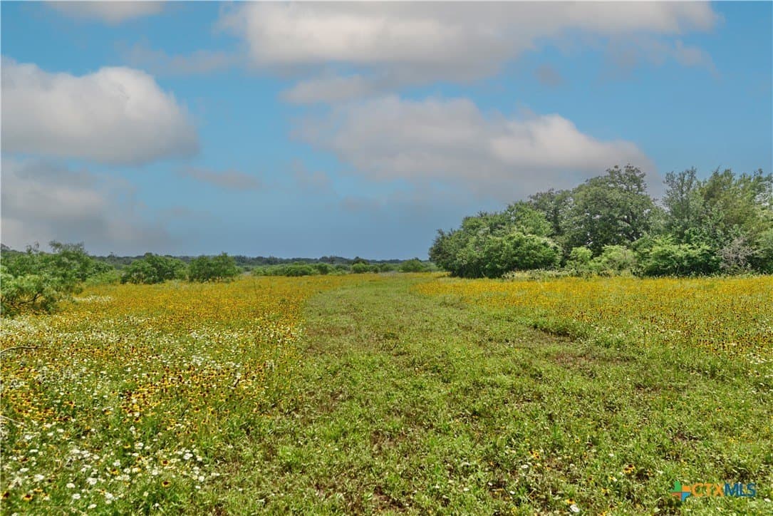 134.51 acres in Fayette County - photo 11