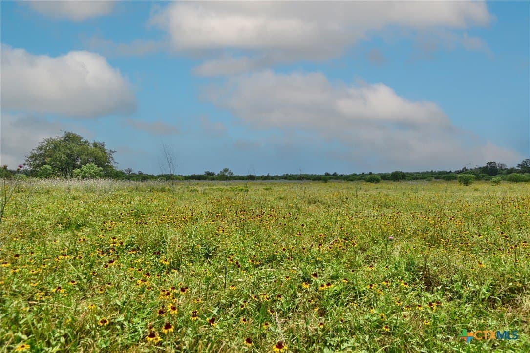 134.51 acres in Fayette County - photo 5