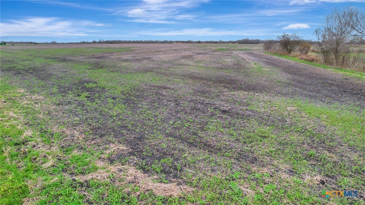 32.9 acres in Victoria County - photo 20