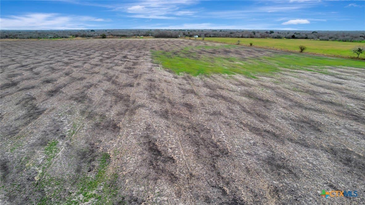 32.9 acres in Victoria County - photo 14