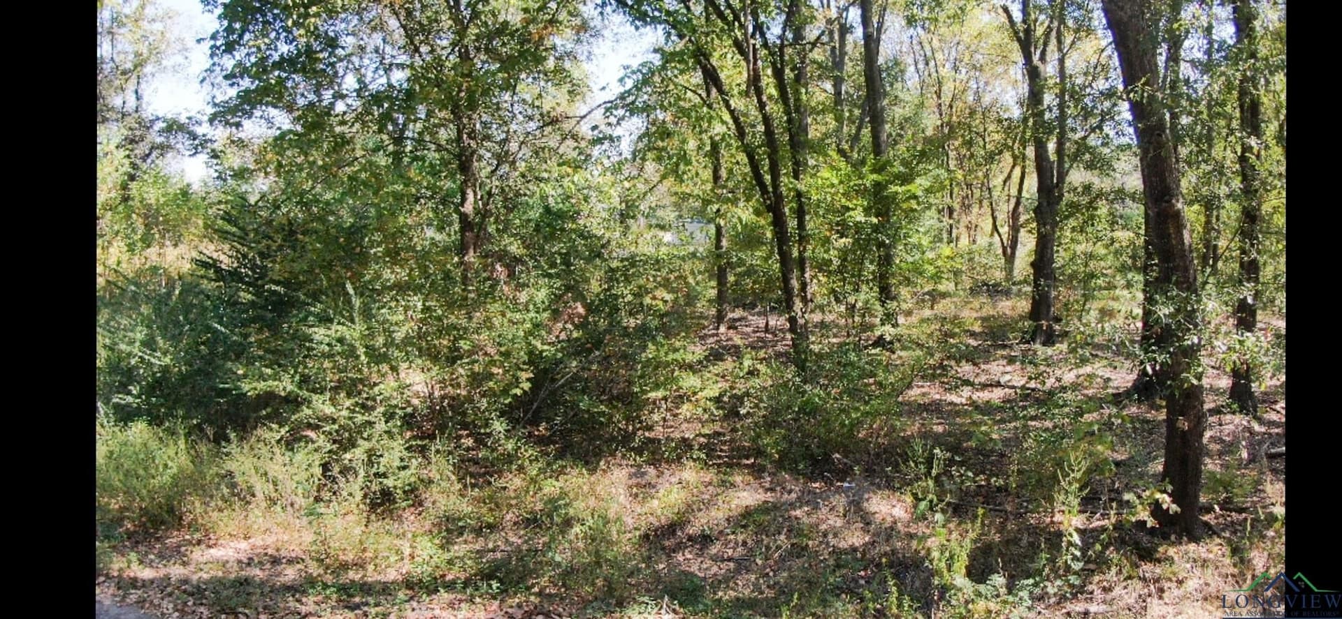 0.12 acres in Texas County - photo 3