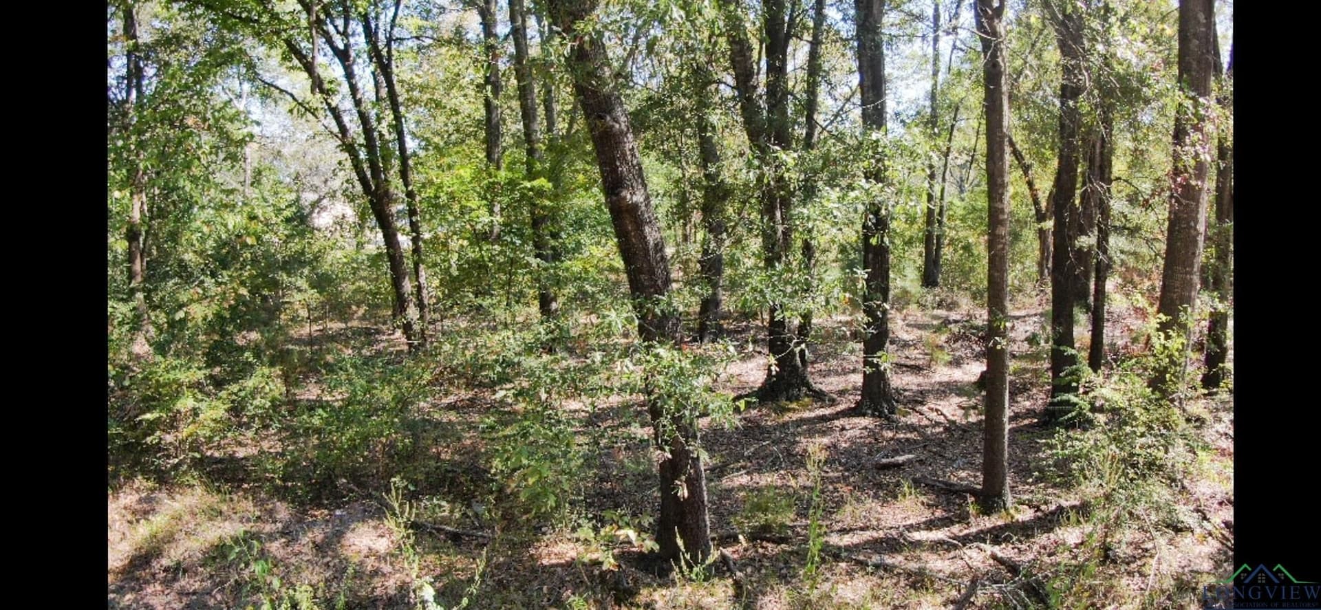 0.12 acres in Texas County - photo 2