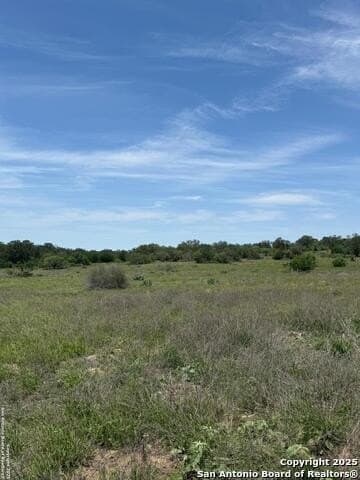 10.01 acres in Atascosa County - photo 17
