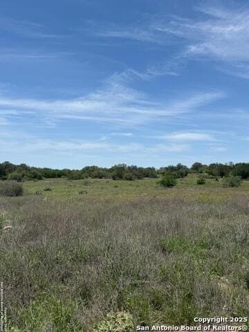 10.01 acres in Atascosa County - photo 16