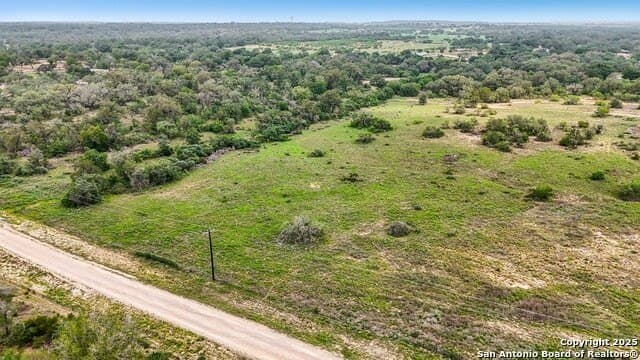 10.01 acres in Atascosa County - photo 4