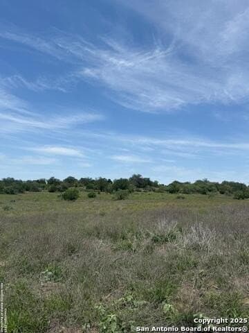 10.01 acres in Atascosa County - photo 19