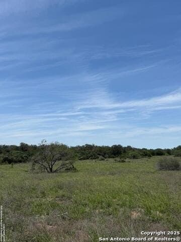 10.01 acres in Atascosa County - photo 18