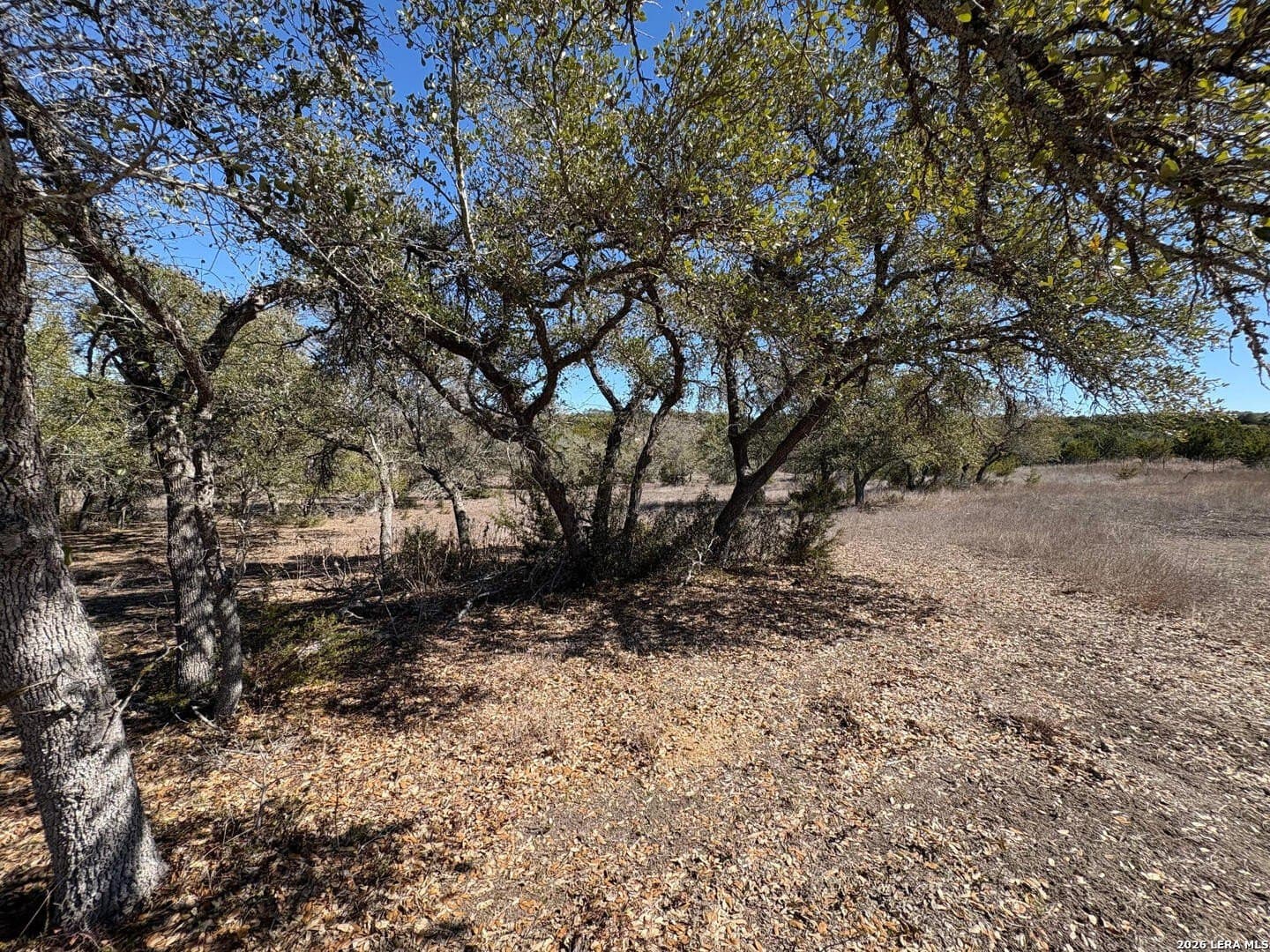 3 acres in Comal County - photo 22