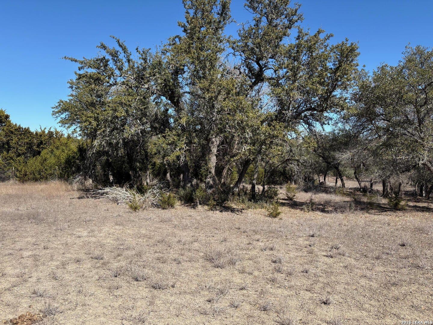 3 acres in Comal County - photo 16