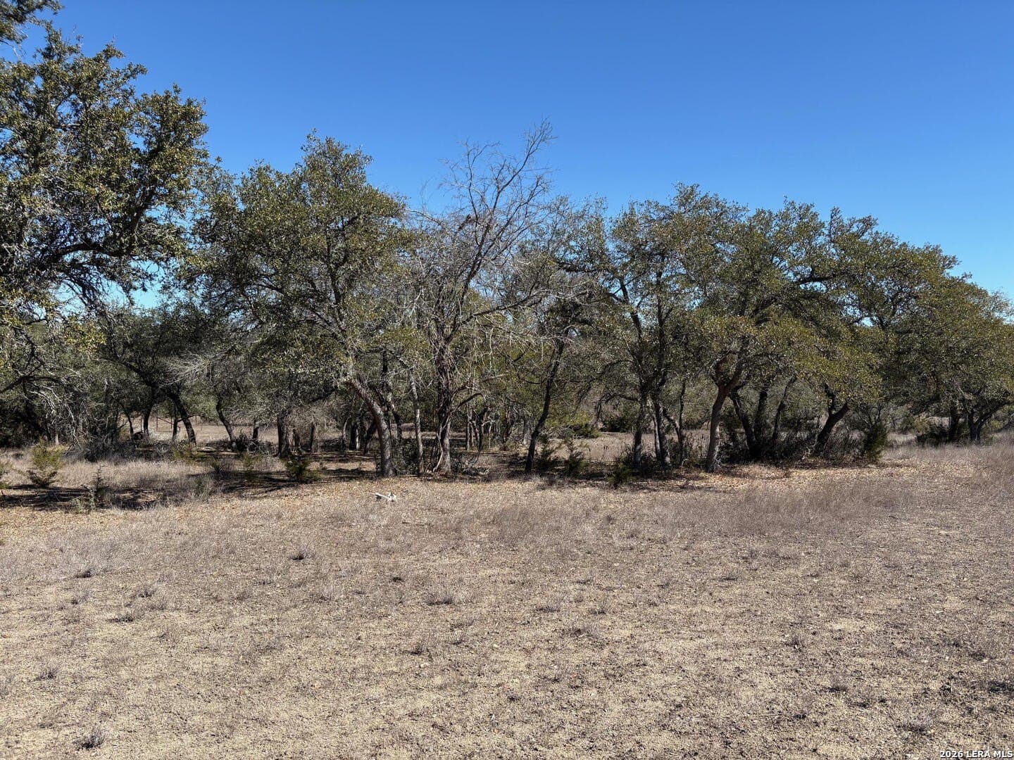 3 acres in Comal County - photo 17