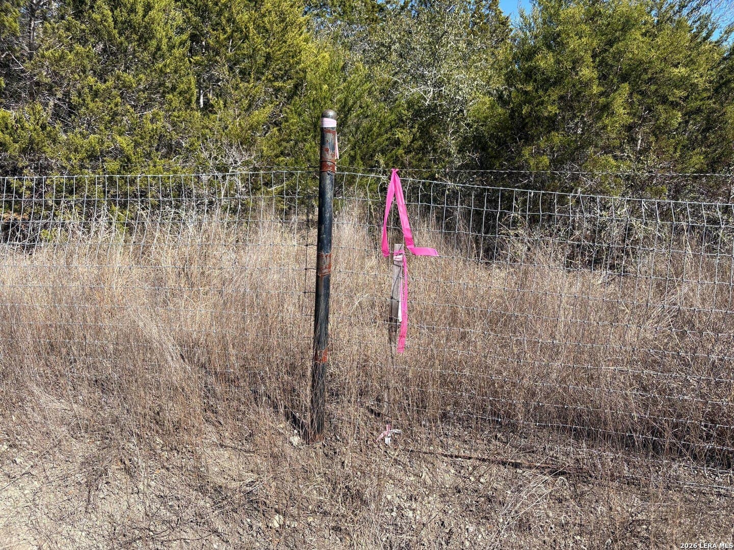 3 acres in Comal County - photo 26