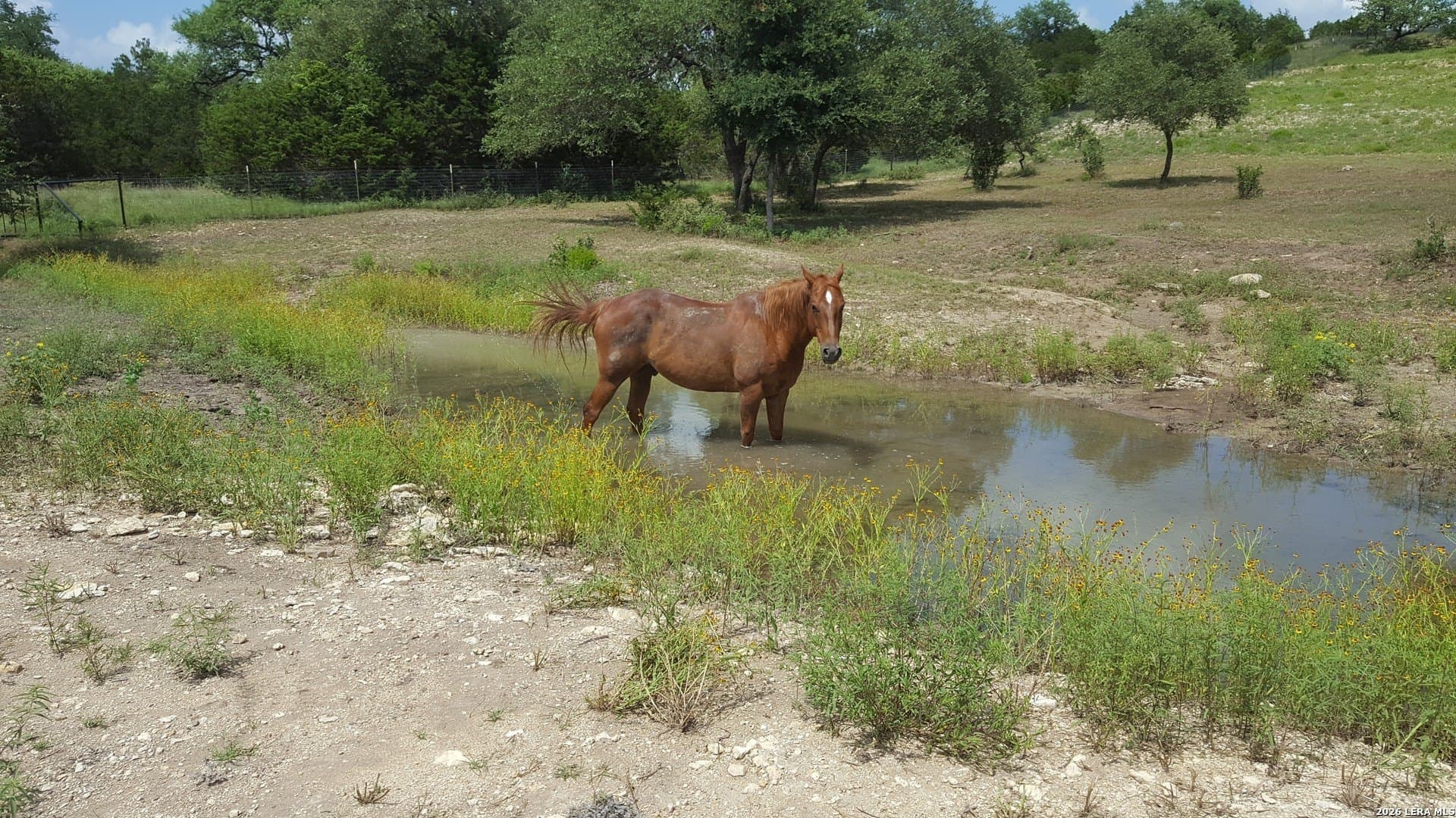 3 acres in Comal County - photo 38