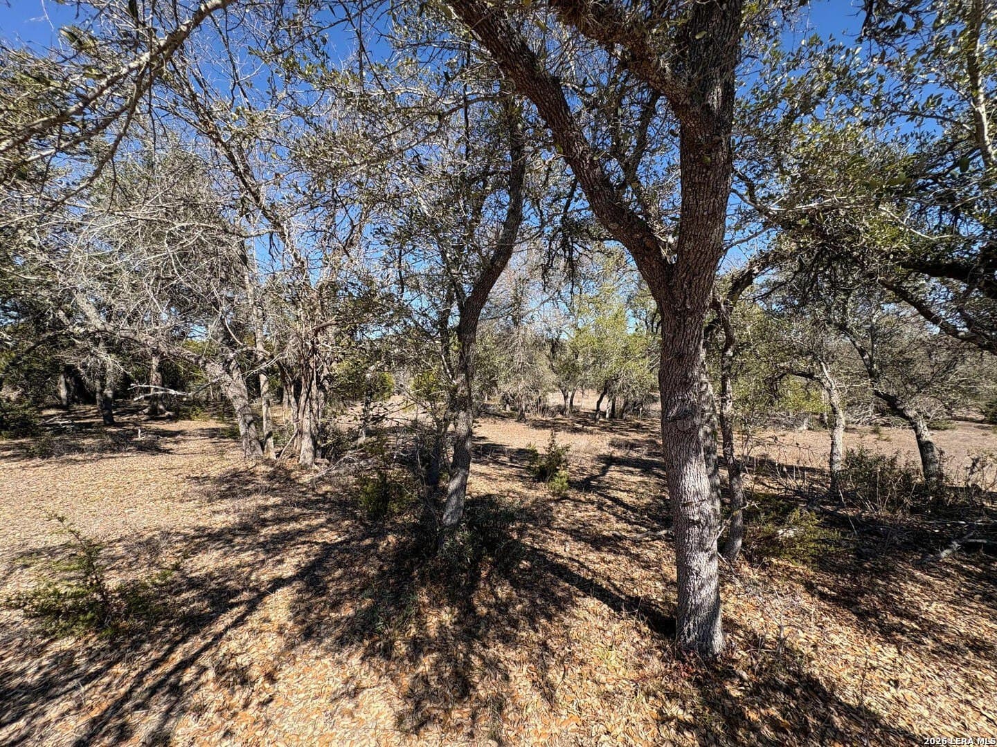 3 acres in Comal County - photo 21