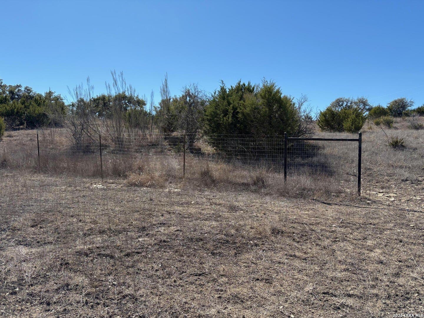 3 acres in Comal County - photo 20
