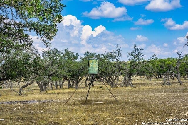 20.09 acres in Gillespie County - photo 4