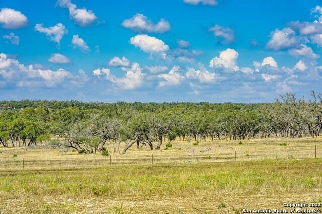 20.09 acres in Gillespie County - photo 29
