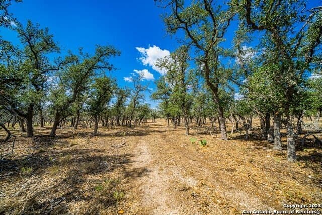 20.09 acres in Gillespie County - photo 9