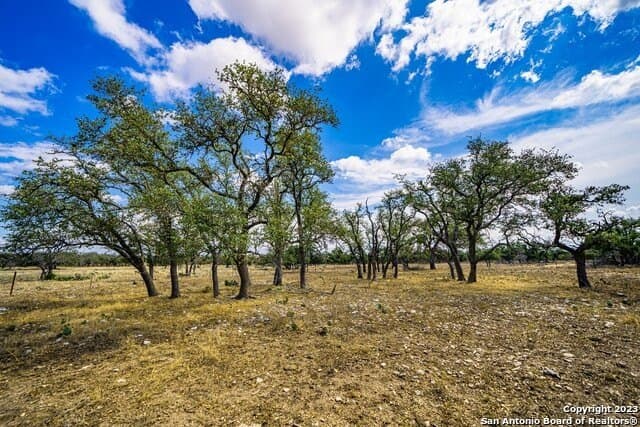20.09 acres in Gillespie County - photo 8