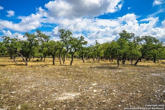 20.09 acres in Gillespie County - photo 16