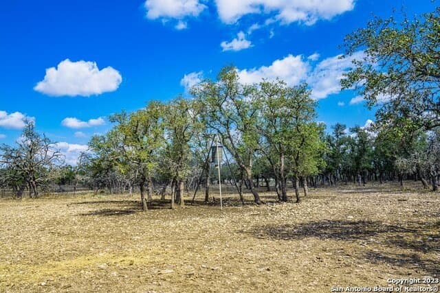 20.09 acres in Gillespie County - photo 6