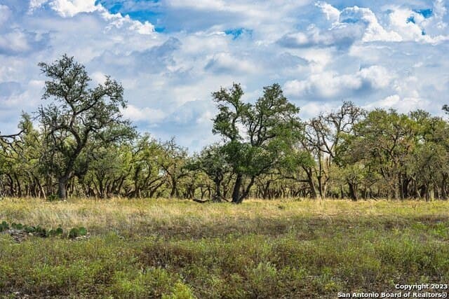 20.09 acres in Gillespie County - photo 13