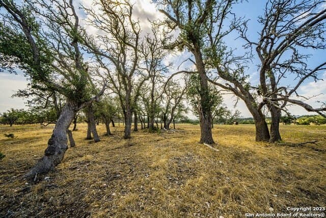 20.09 acres in Gillespie County - photo 2
