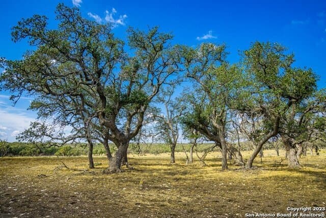 20.09 acres in Gillespie County - photo 12