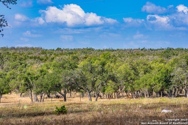 20.09 acres in Gillespie County - photo 25