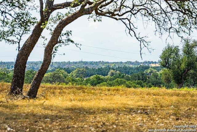 20.09 acres in Gillespie County - photo 10