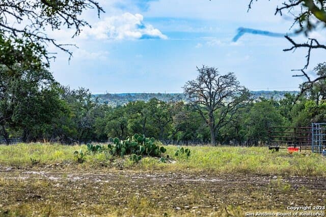 20.09 acres in Gillespie County - photo 5