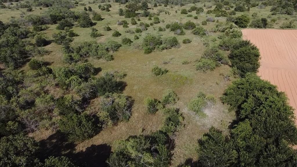 10 acres in Parker County - photo 18