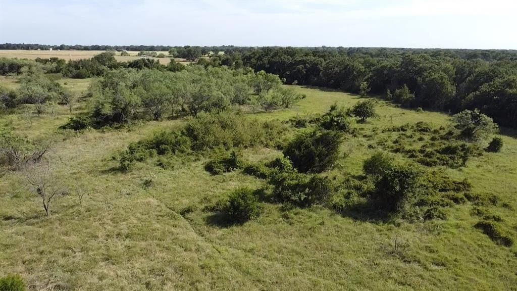 10 acres in Parker County - photo 9