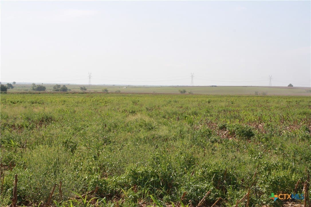 11 acres in Bell County - photo 3