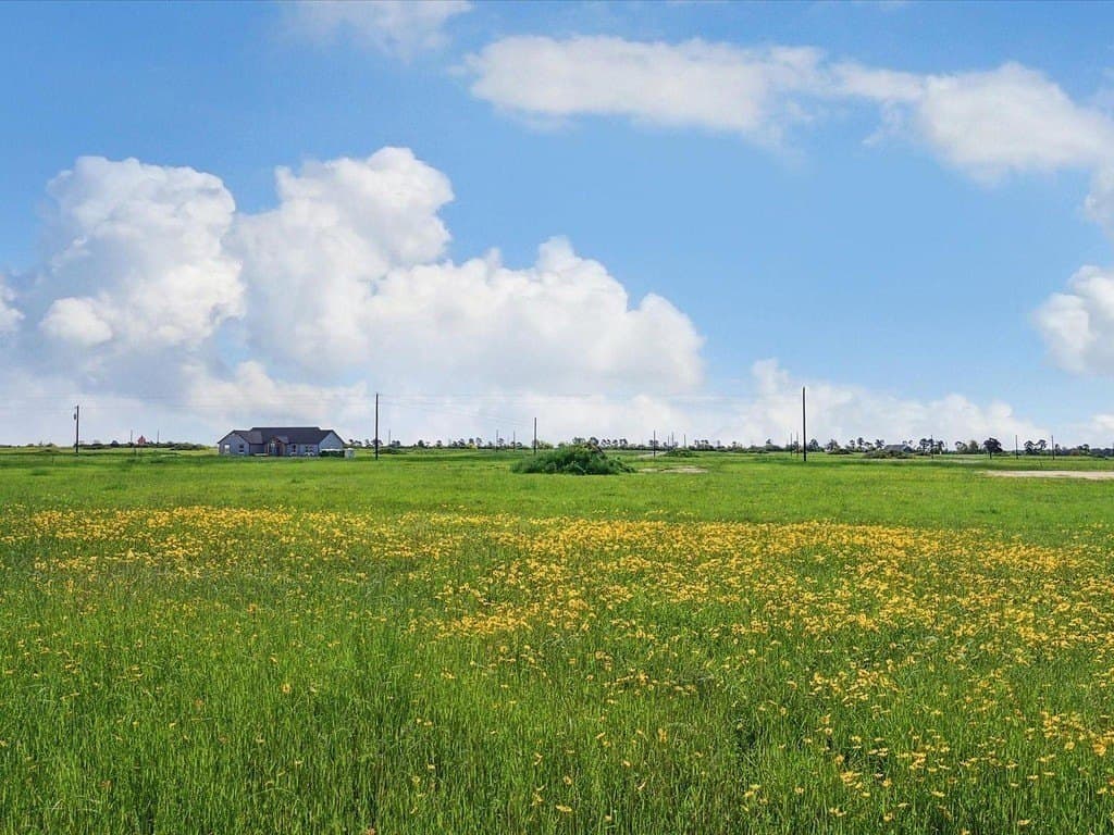 1.3 acres in Colorado County - photo 8