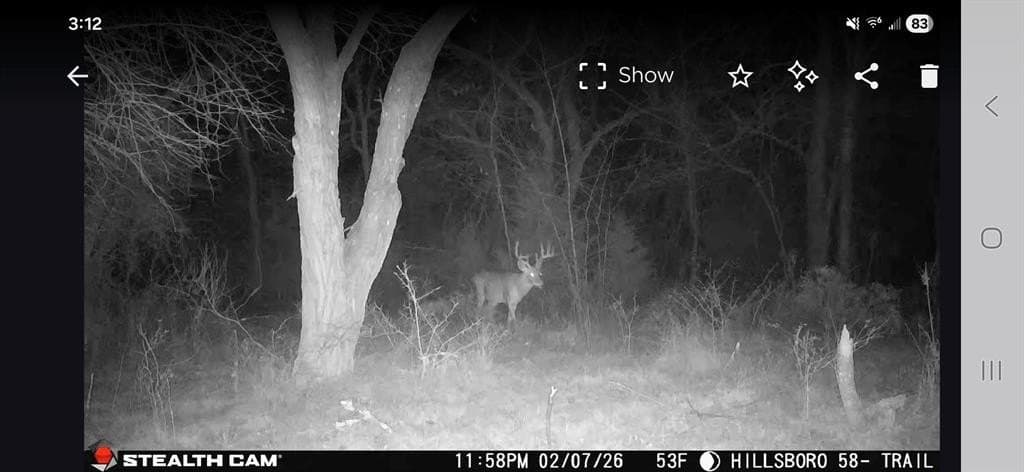 58.32 acres in Hill County - photo 39