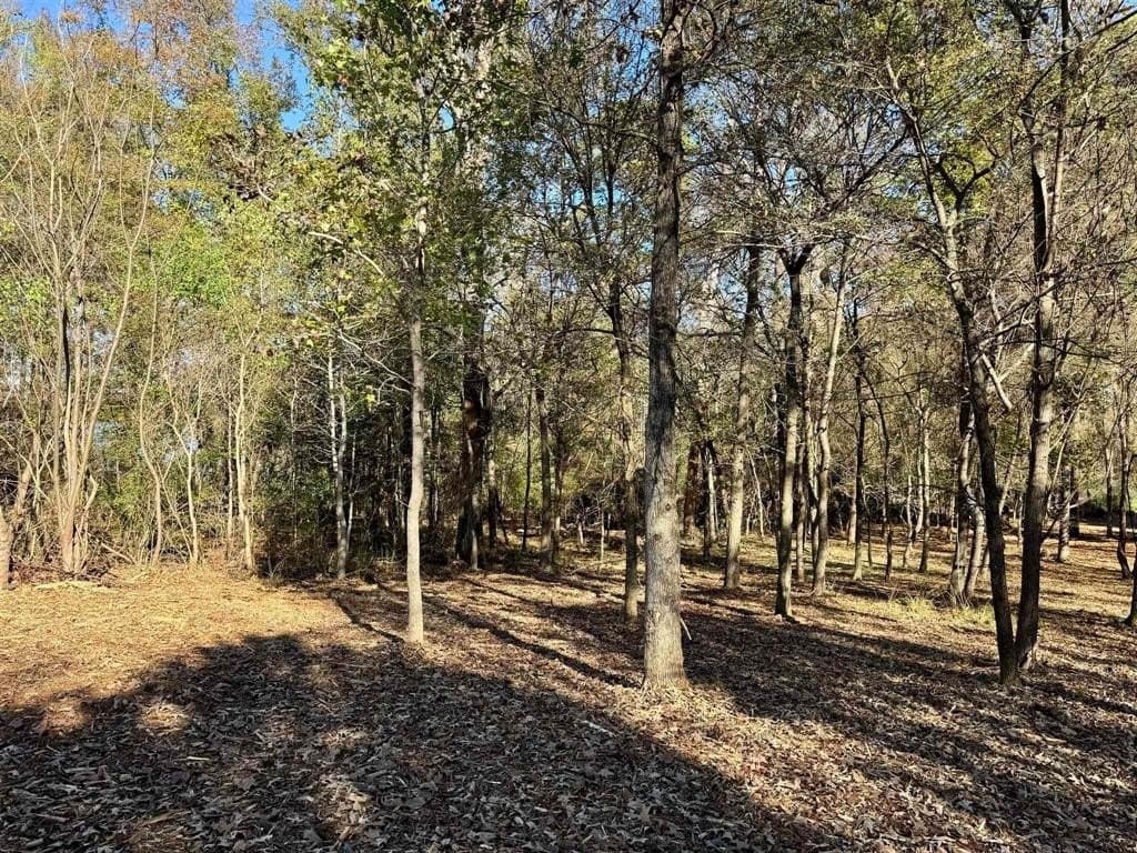1 acres in Henderson County - photo 5