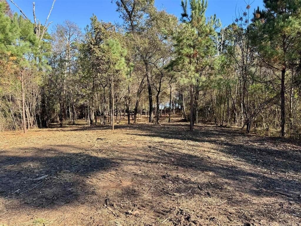 1 acres in Henderson County - photo 3