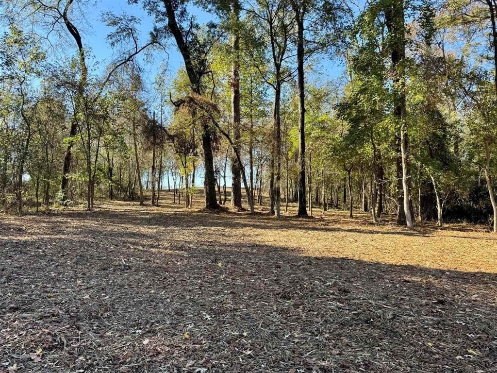 1 acres in Henderson County - photo 4