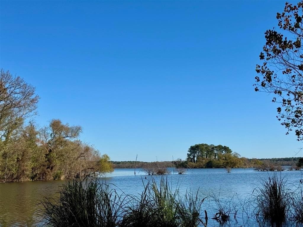 1 acres in Henderson County - photo 10