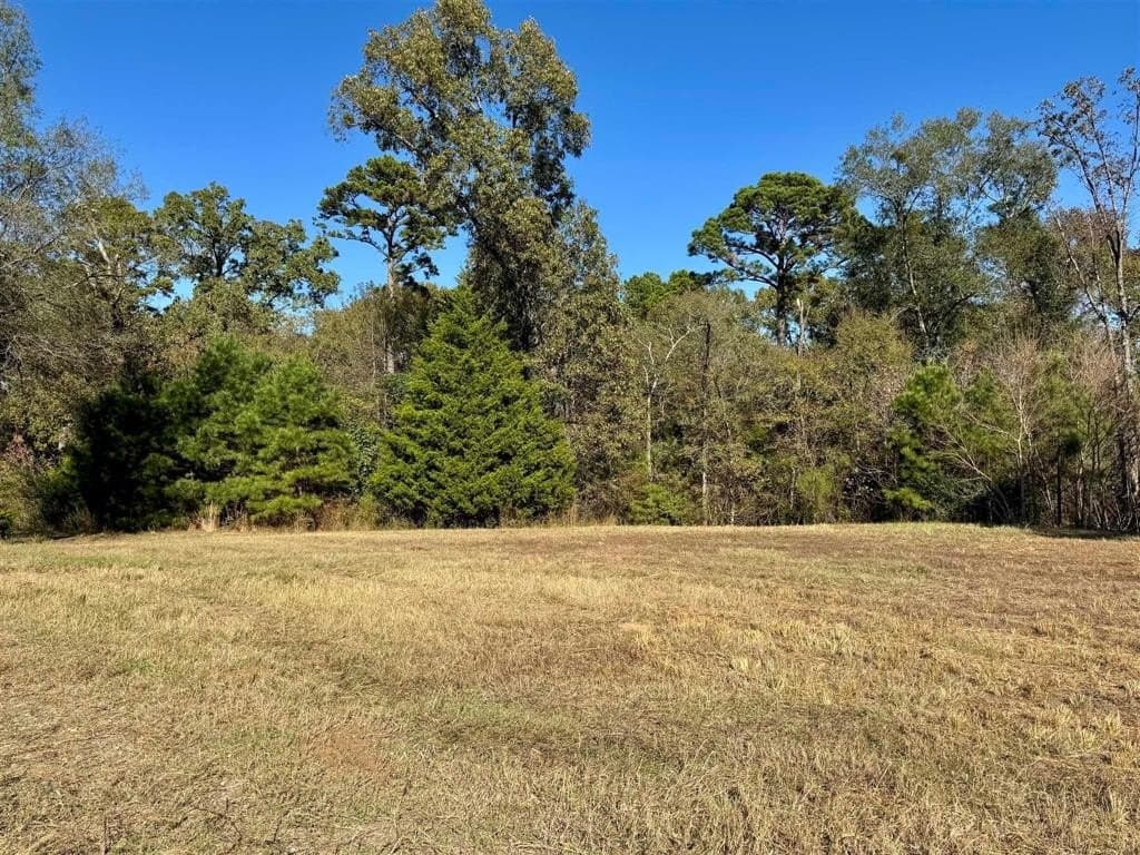 1 acres in Henderson County - photo 6