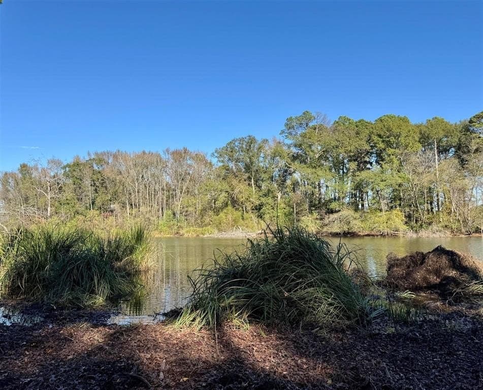 1 acres in Henderson County - photo 9