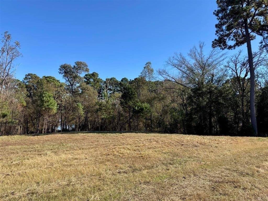1 acres in Henderson County - photo 7