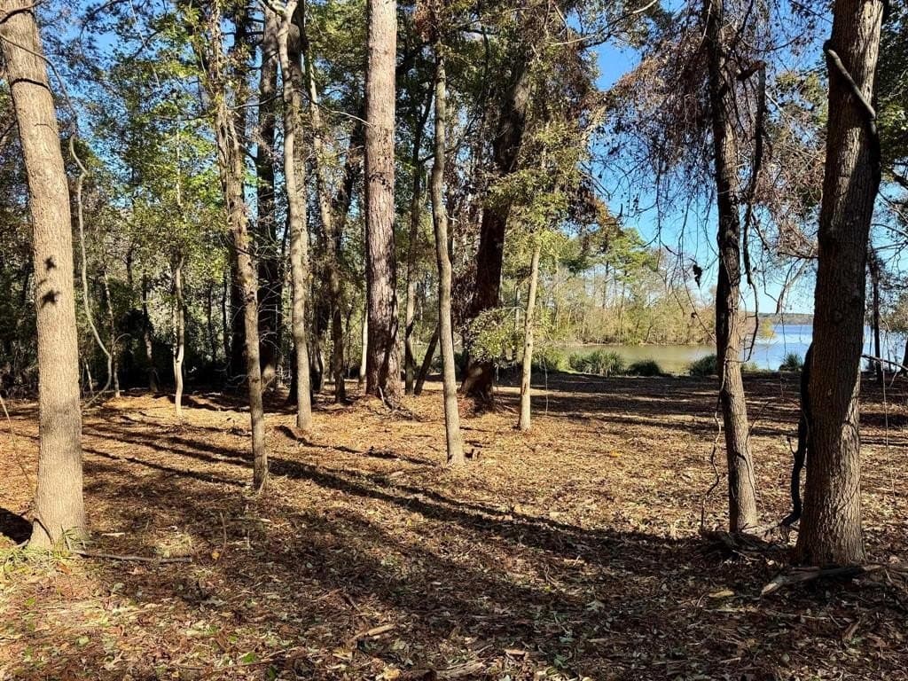 1 acres in Henderson County - photo 8