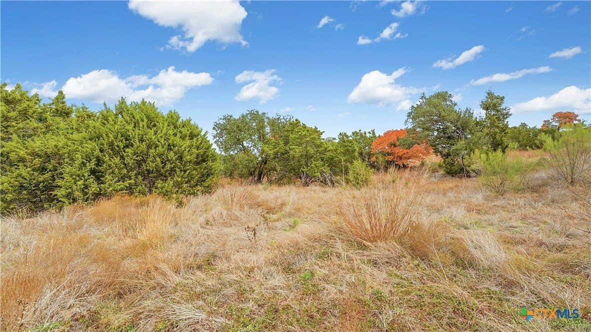 5.04 acres in Comal County - photo 13