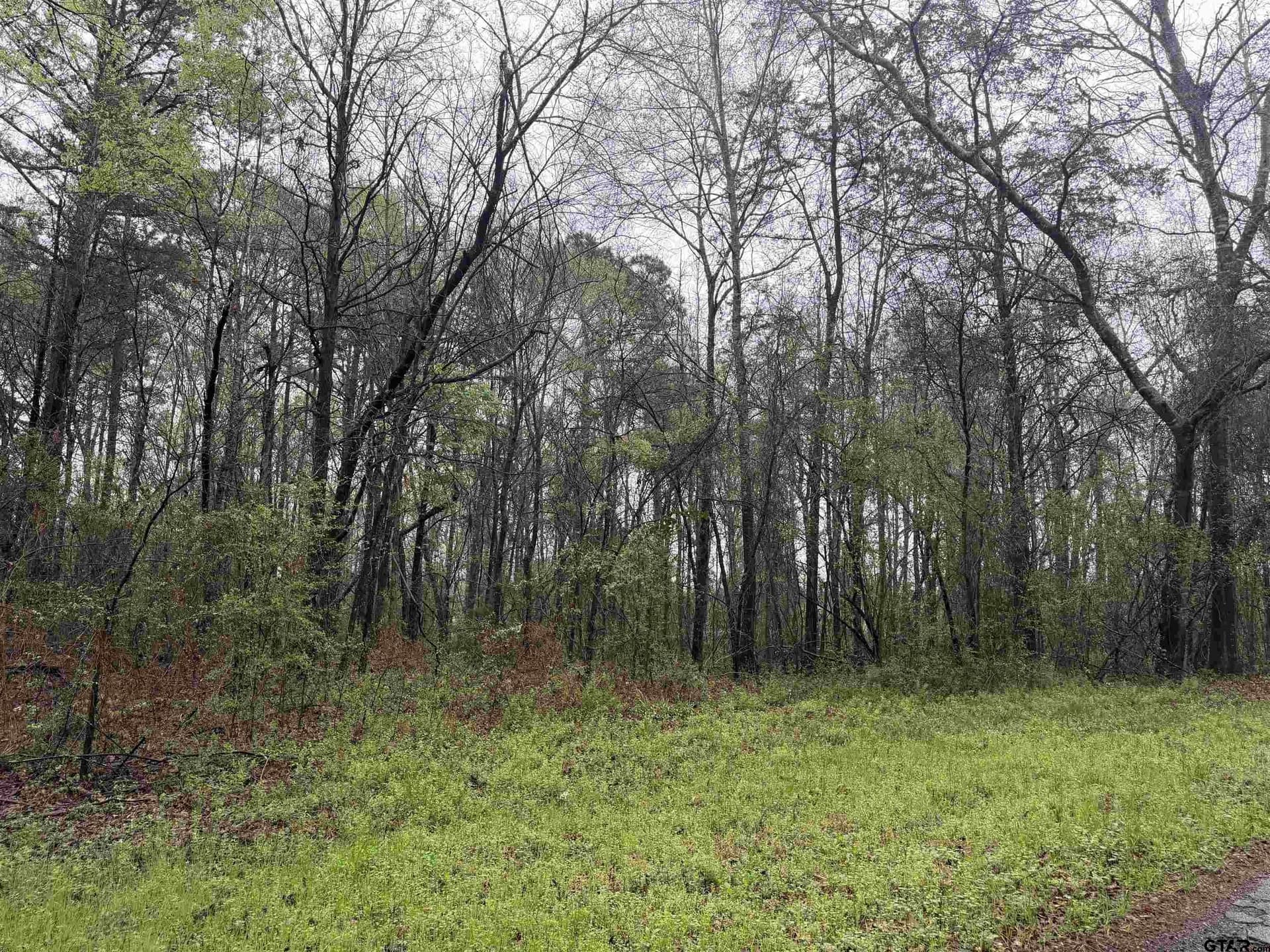 3 acres in Morris County - photo 9