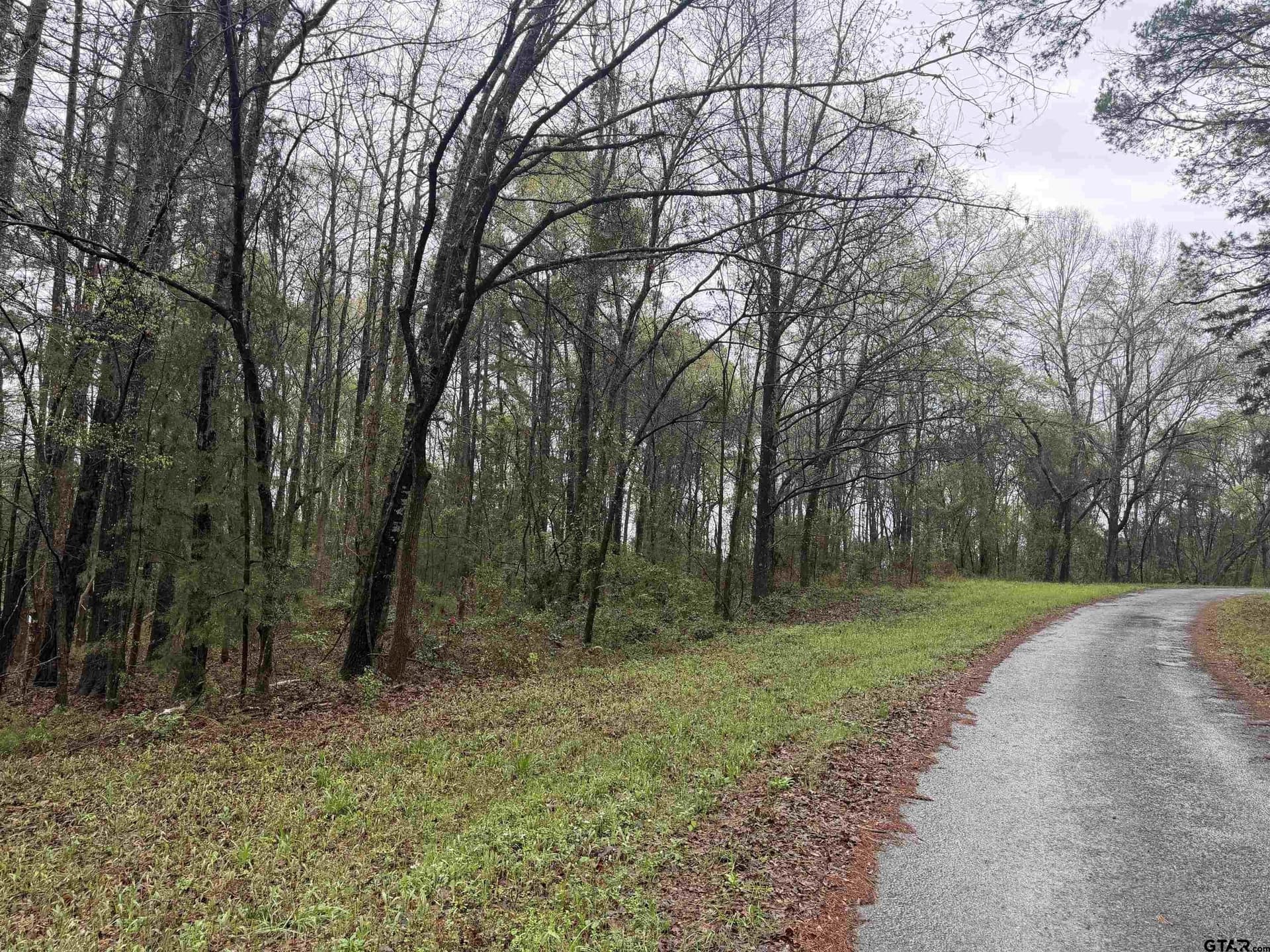 3 acres in Morris County - photo 7