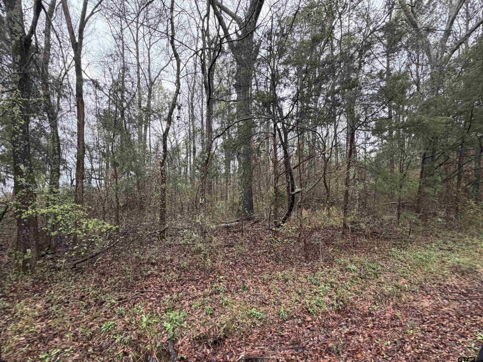 3 acres in Morris County - photo 4